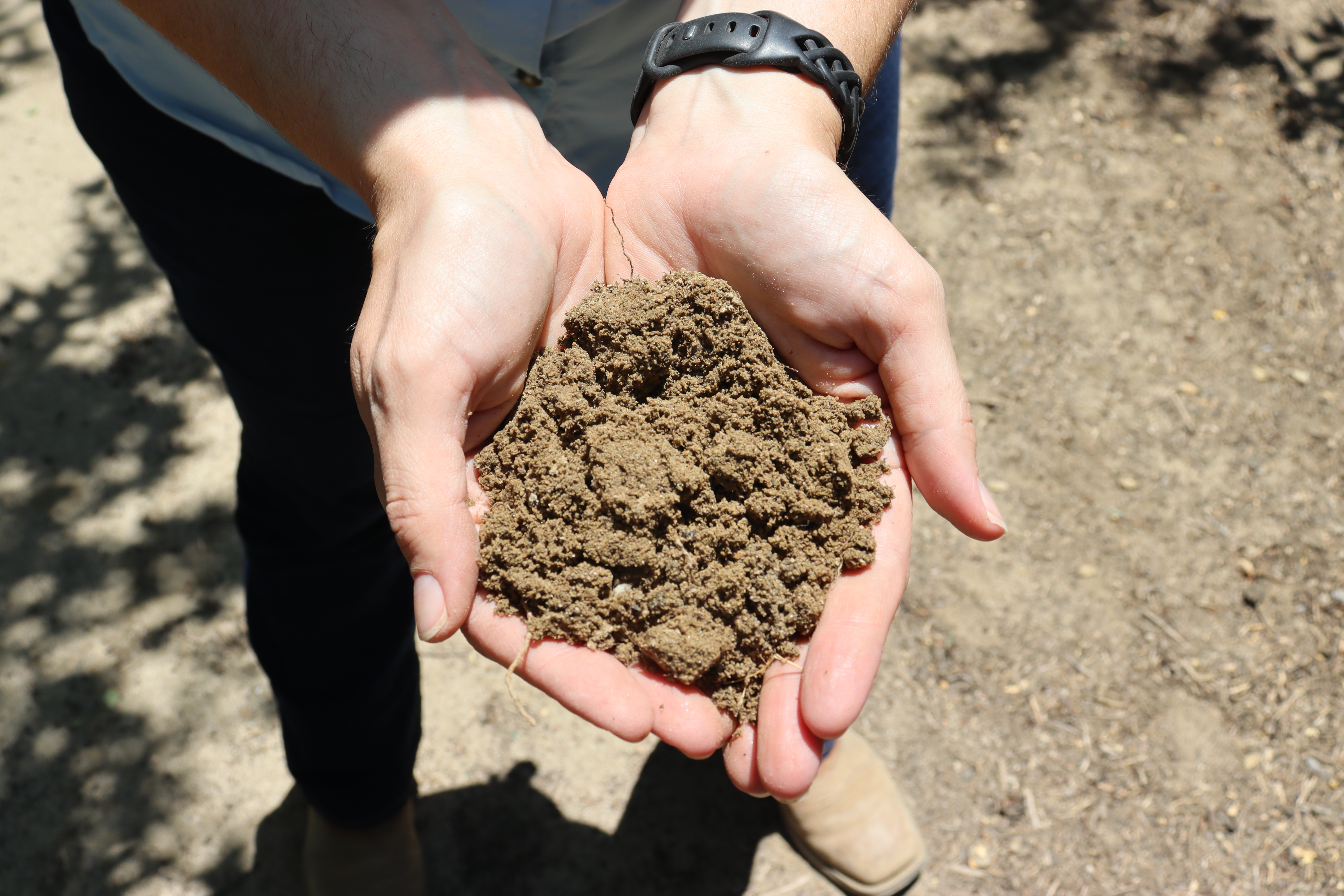 Soils in Action Field Day by Holloway