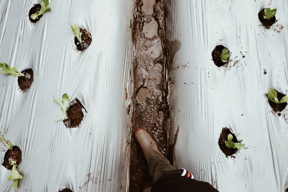 Sustainable Farming Practices for Advisors