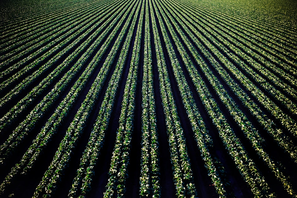 Agricultural Innovation in Soil Management